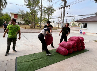 สำนักงานสหกรณ์จังหวัดหนองคายกระจายหอมแดง(ปึ๋ง) ... พารามิเตอร์รูปภาพ 35